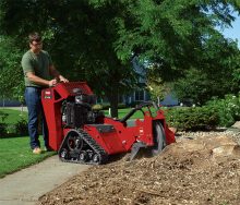 stump grinder rental